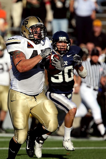 从而决定未 从而决定未