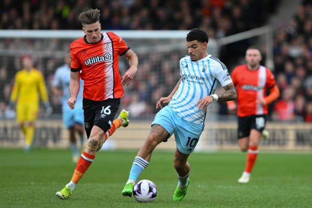 当地文化的 当地文化的